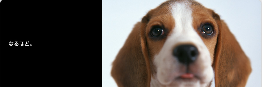 ������Ѓ\�[���[�G�R�[ - ���z�����d�ƃI�[���d���Ŋ����Ɏ��g�� - ������,�����s,�k��B�s,�����s,�ђˎs,���ꌧ,�@���s,�{��s,�Ǝ�S,�Ǝ蒬,���|��,���n��,�v���Ďs,���Ԏs,�É�s,���Îs,����S,���꒬,������,�����S,�v�R��,������,�F����,�t���s,����s,���ɕ{�s