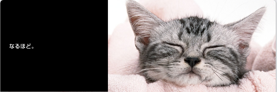 ������Ѓ\�[���[�G�R�[ - ���z�����d�ƃI�[���d���Ŋ����Ɏ��g�� - ������,�����s,�k��B�s,�����s,�ђˎs,���ꌧ,�@���s,�{��s,�Ǝ�S,�Ǝ蒬,���|��,���n��,�v���Ďs,���Ԏs,�É�s,���Îs,����S,���꒬,������,�����S,�v�R��,������,�F����,�t���s,����s,���ɕ{�s